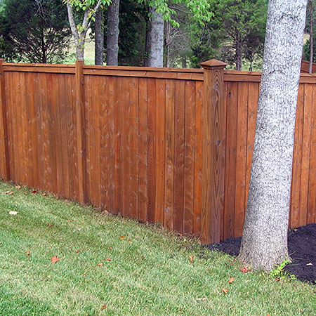 Fence cleaning before and after